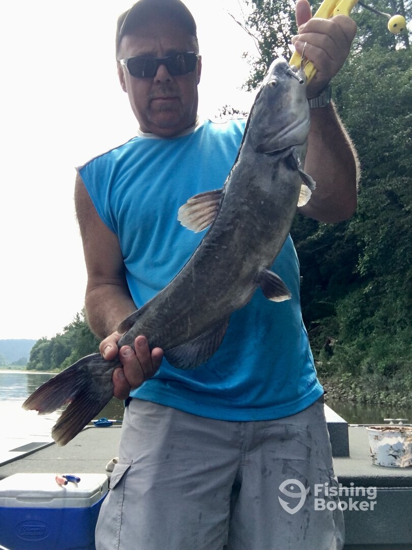 Harding Report Photo 0