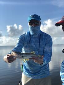 Homestead Report Photo 2