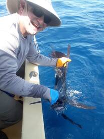 Playa Flamingo Report Photo 2