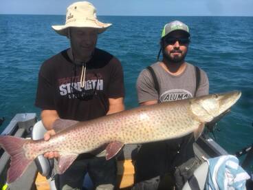 Lakeshore Report Photo 2