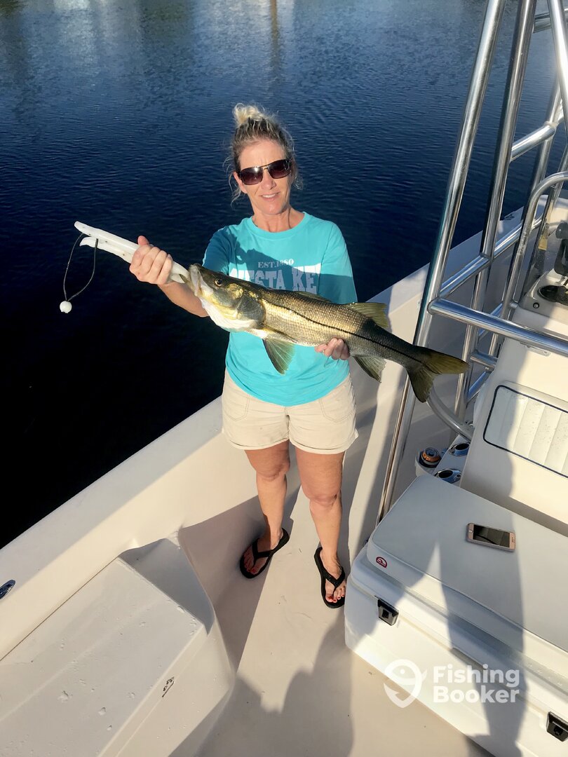 Sarasota Report Photo 0