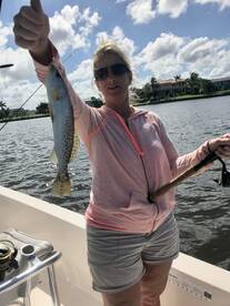 Sarasota Report Photo 1