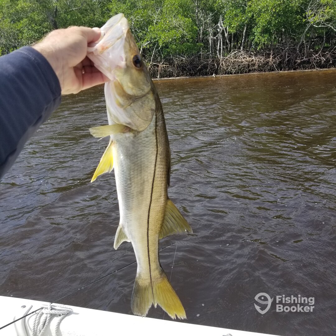 Bonita Springs Report Photo 0