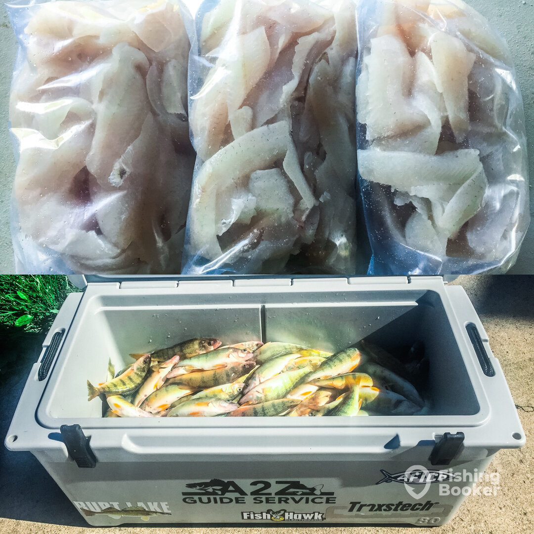 Monroe Report Photo 0