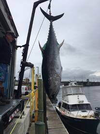 Montauk Report Photo 1