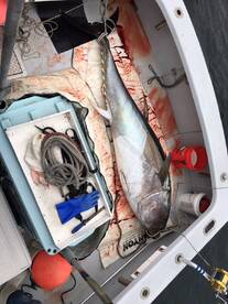 Montauk Report Photo 2