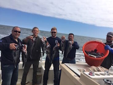 Montauk Report Photo 1