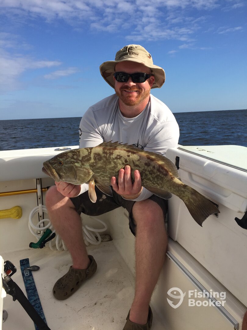 Orange Beach Report Photo 0