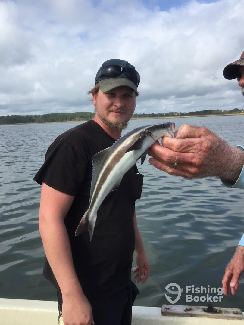 Chincoteague Report Photo 0