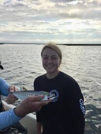 Chincoteague Report Photo 1