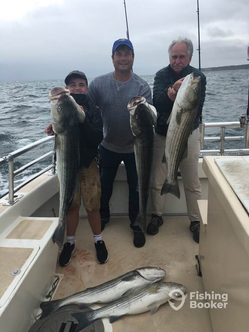 Montauk Report Photo 0