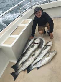 Montauk Report Photo 1