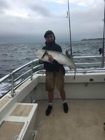 Montauk Report Photo 2