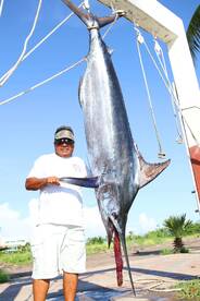 Epic Blue Marlin
