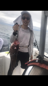 Herradura Report Photo 1