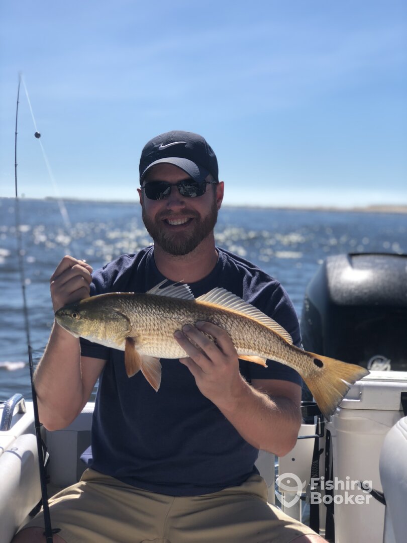 Orange Beach Report Photo 0