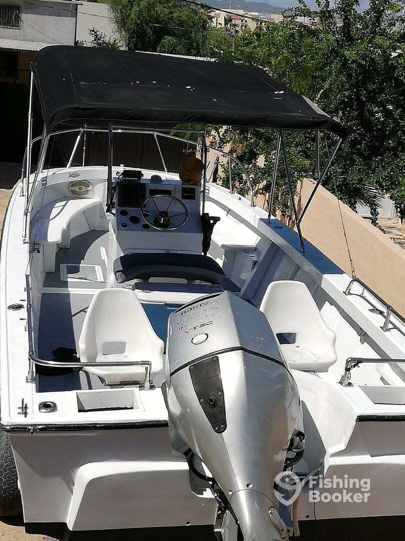 San Jose del Cabo Report Photo 0