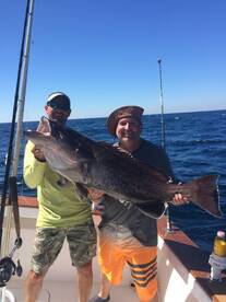 50lb gag grouper