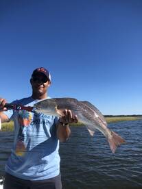 Mount Pleasant Verslag Foto 2