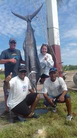 Excellent blue marlin on a Super Panga