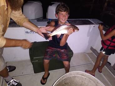 Niceville Report Photo 1