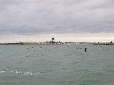 Boston Report Photo 2