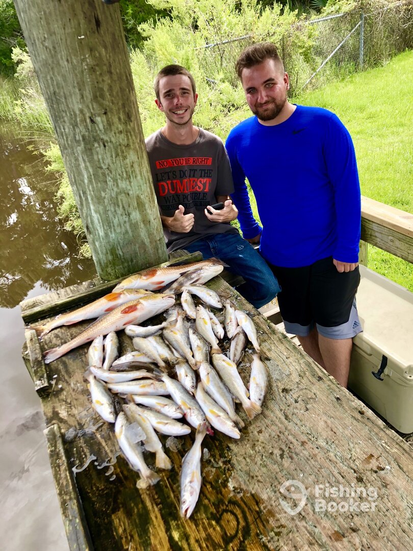 Ocean Springs Report Photo 0