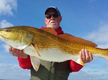 Fall Redfish