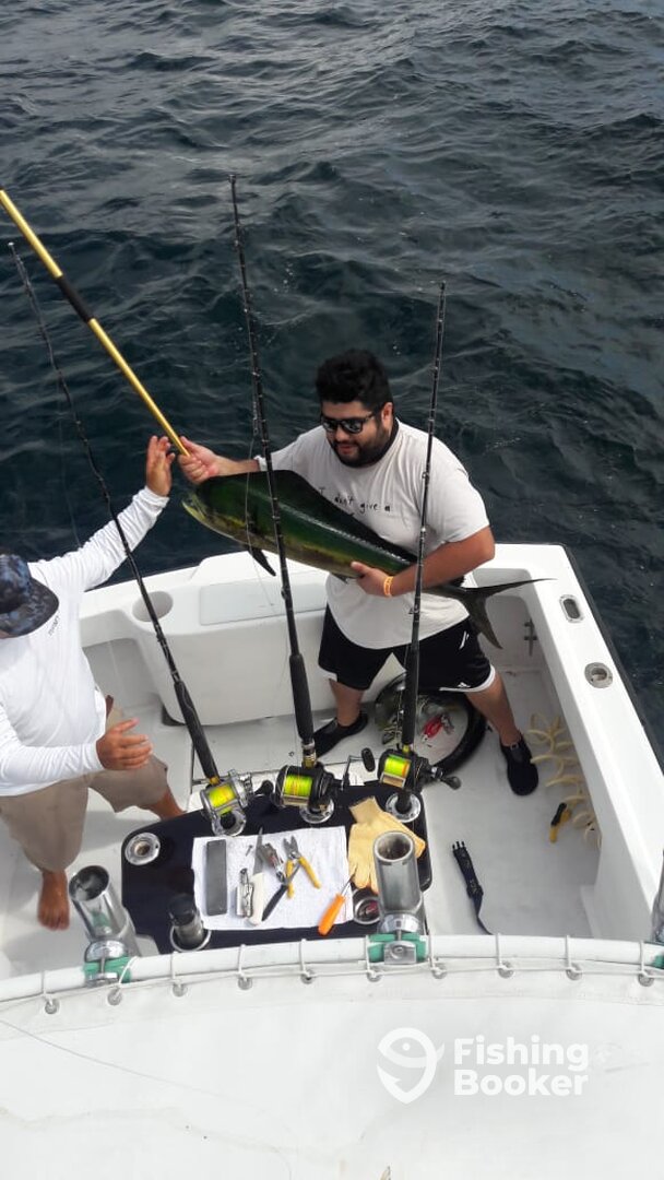 Herradura Report Photo 0