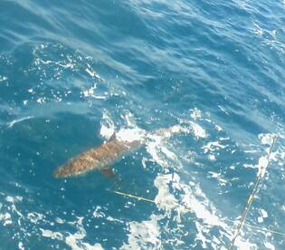 Fort Lauderdale Report Photo 1