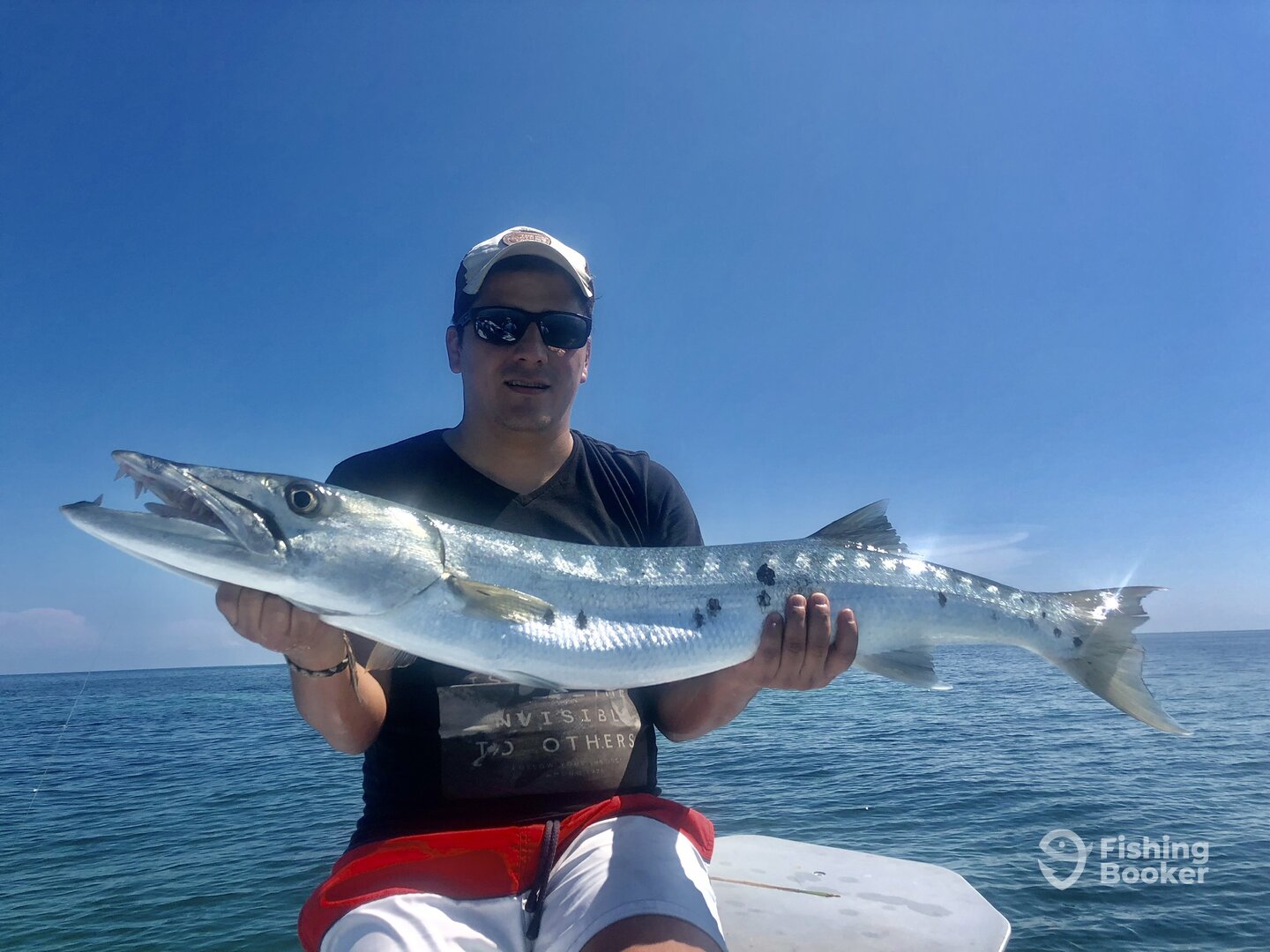 Miami Report Photo 0