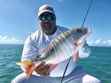 Miami Report Photo 2