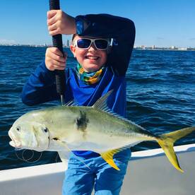 From Docks to Reefs!