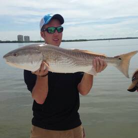 Snook and redfish are chewing!