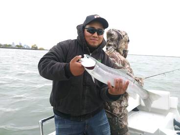 Cleveland Report Photo 2