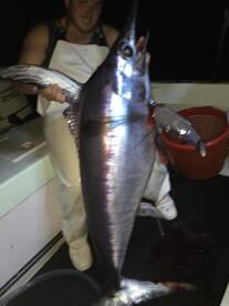 Very Large Swordfish