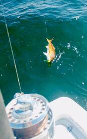 Pensacola Beach Report Photo 2