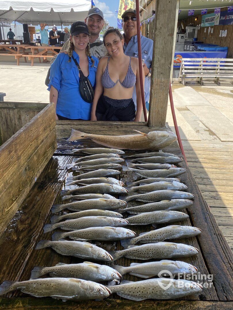 Venice Report Photo 0