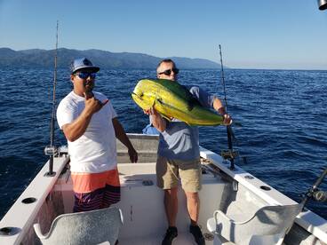 Puerto Vallarta Report Photo 2