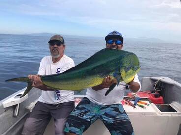 Puerto Vallarta Report Photo 2