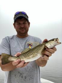 Ocean Springs Report Photo 1