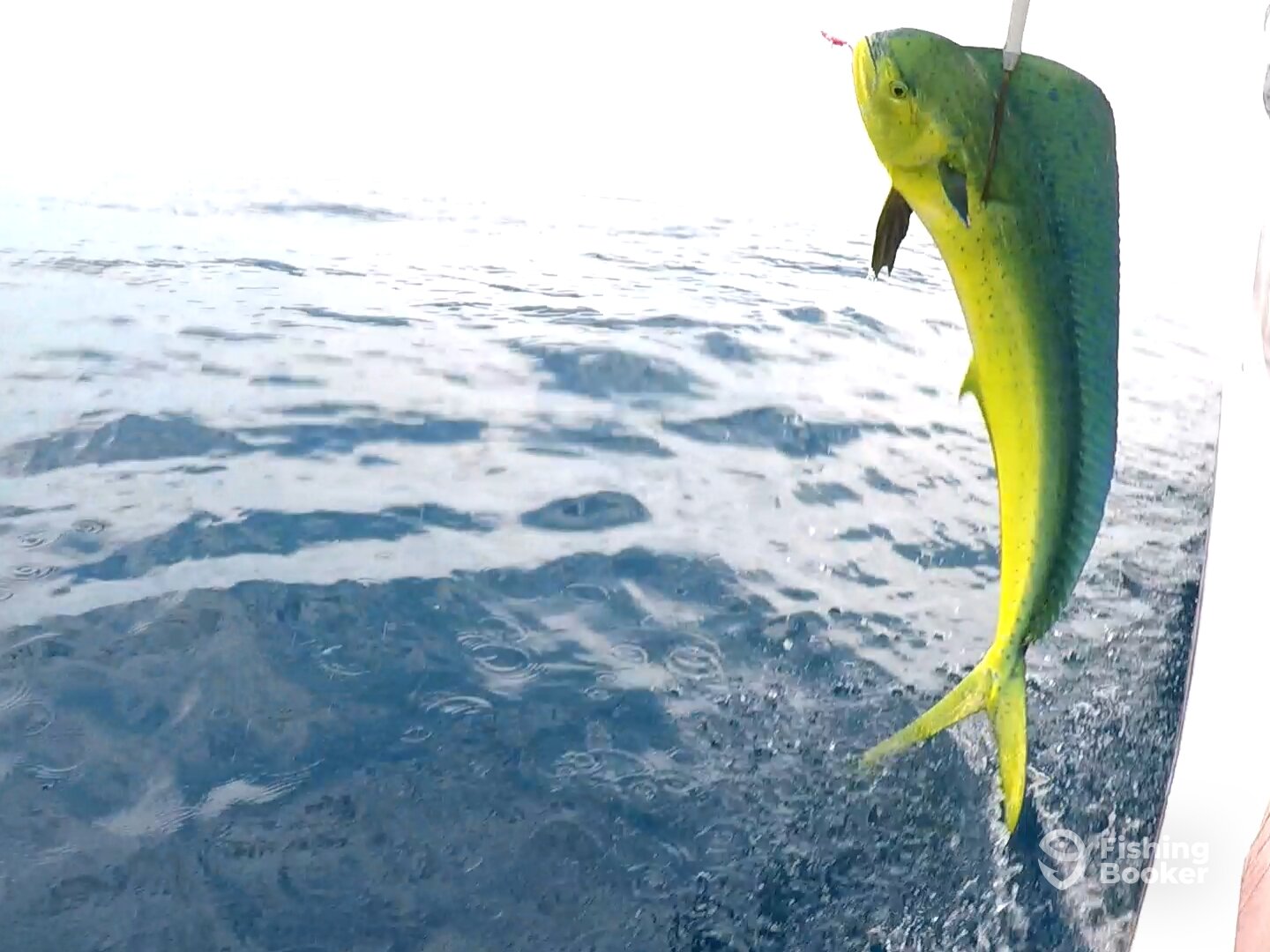 Le Morne Report Photo 0