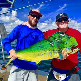 Mahi Mahi Are Running Close To Beach