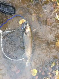 Hilton Report Photo 2