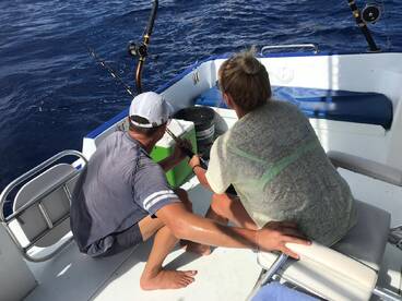 Punta Cana Report Photo 1