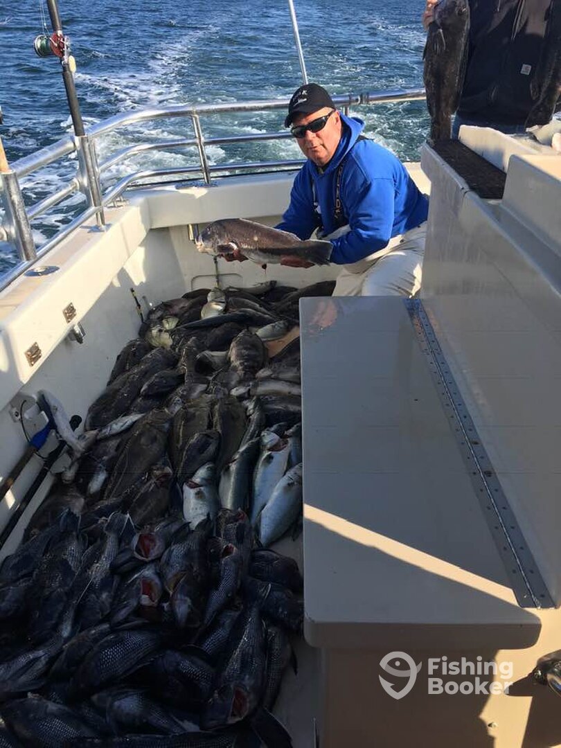 Montauk Report Photo 0