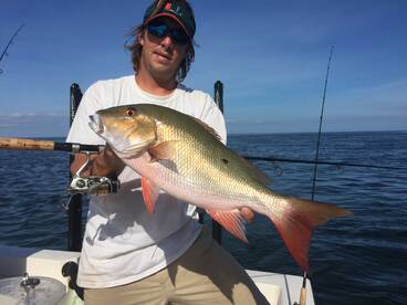 Key Biscayne Report Photo 1