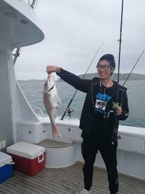 Auckland Report Photo 1