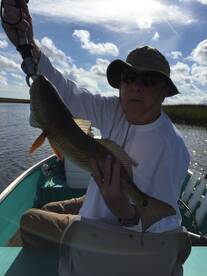 Jacksonville Report Photo 2