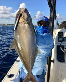 Amberjack